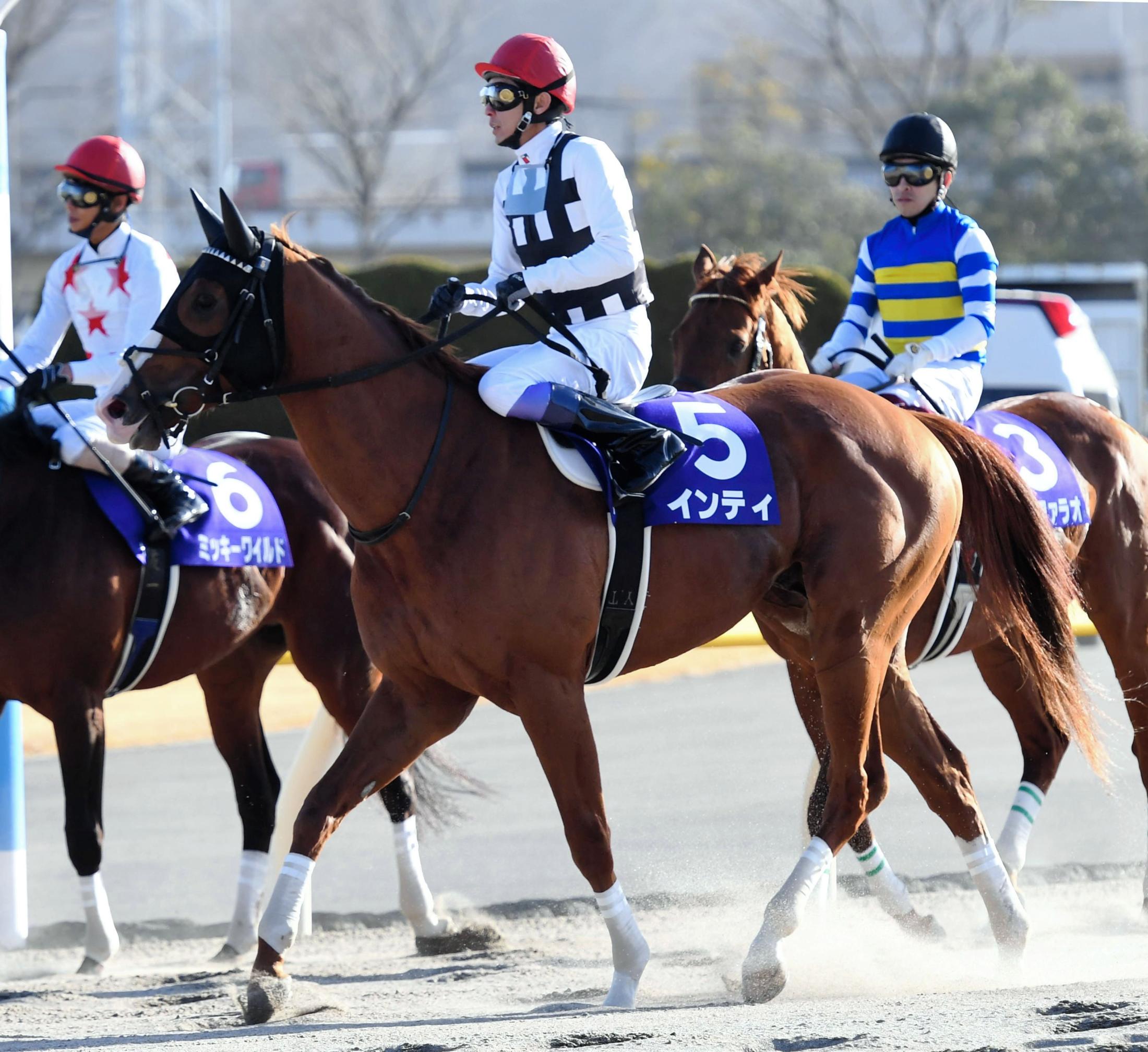 フェブラリーＳ】インティ連覇の夢霧散…１４着 武豊「全然“らしく