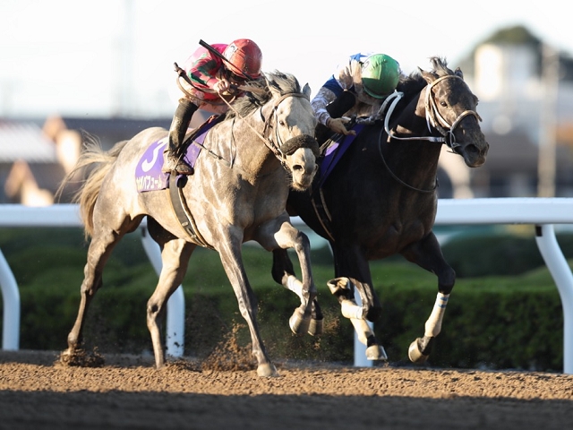 競馬 優勝レイ 兼六賞 第12回 金沢競馬 記念品 レア 地方競馬 1983