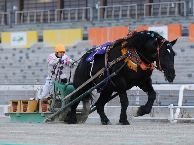 ばんえい記念】オレノココロが王座奪還！2年ぶり3度目のV/地方競馬