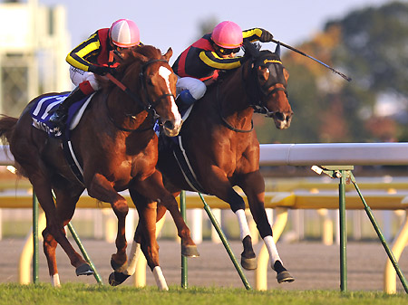 ジェンティルドンナ参戦のドバイシーマクラシック、海外有力馬の動向