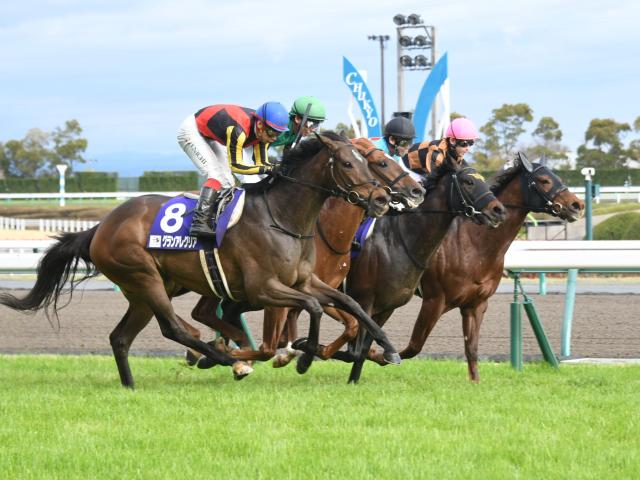 高松宮記念】モズスーパーフレアが戴冠！1位入線のクリノガウディー