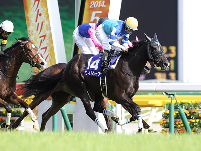 WIN5で億2回！“馬券億り人”真田理がnetkeiba初登場！ | 競馬ニュース - netkeiba