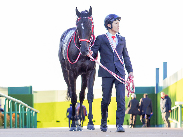 皐月賞前日オッズ】コントレイルが3.1倍で1番人気 | 競馬ニュース