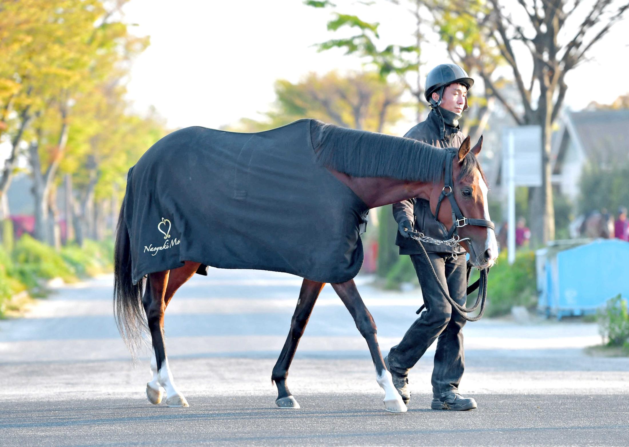 天皇賞】メロディーレーン６７年ぶり牝馬Ｖへ 最年少Ｖ懸かる１９歳 
