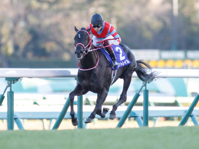 日本ダービー枠順確定】無敗の皐月賞馬コントレイルは3枠5番！ | 競馬 