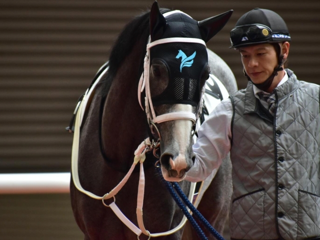 JRA】カレンヒメが初勝利 GI馬カレンチャンの仔と池添謙一騎手のコンビ | 競馬ニュース - netkeiba