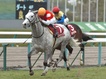 ゴールドシップ4枠8番、フェノーメノ3枠6番/天皇賞(春)枠順 | 競馬