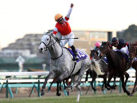 単勝1.1倍、ゴールドシップの一本被り/天皇賞(春)前々日オッズ | 競馬