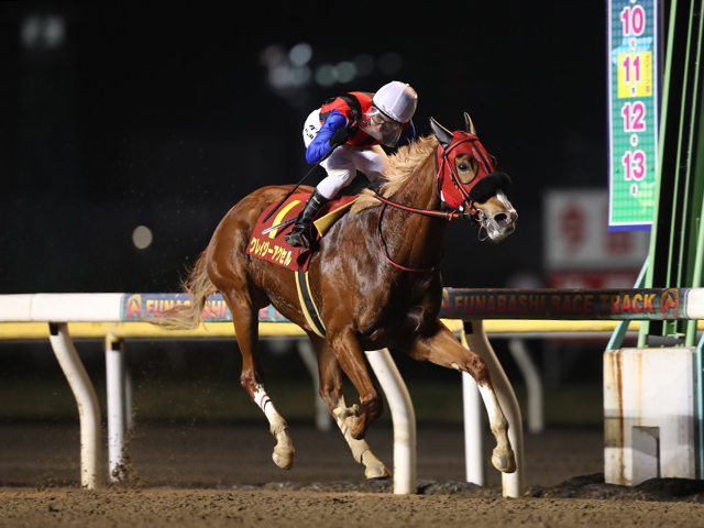 園田・兵庫サマークイーン賞】 全国から強豪古馬が集う牝馬限定戦 