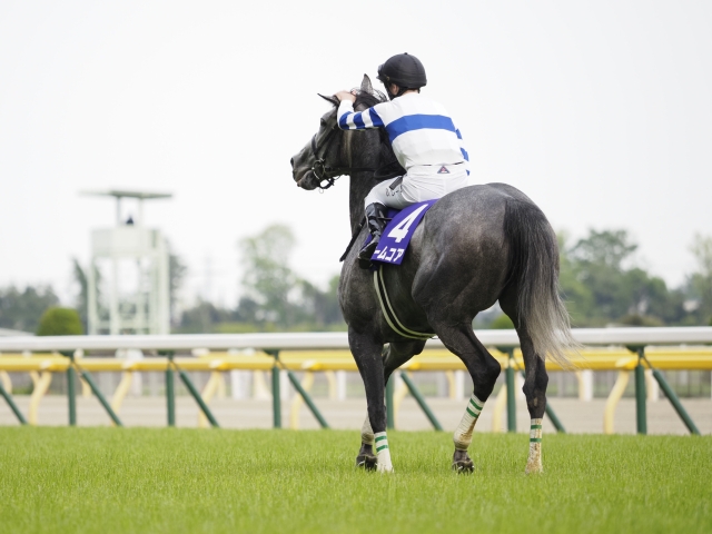 次走】ノームコアは札幌記念を目標に | 競馬ニュース - netkeiba