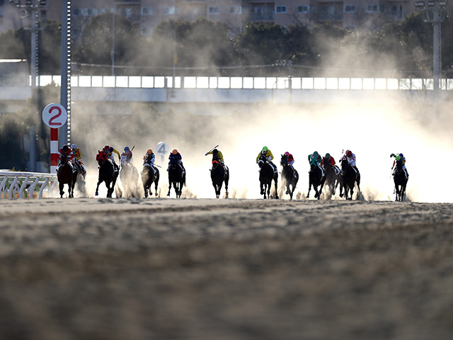 地方競馬】大井競馬場で9月以降の入場再開へ向けたテスト入場を8月に