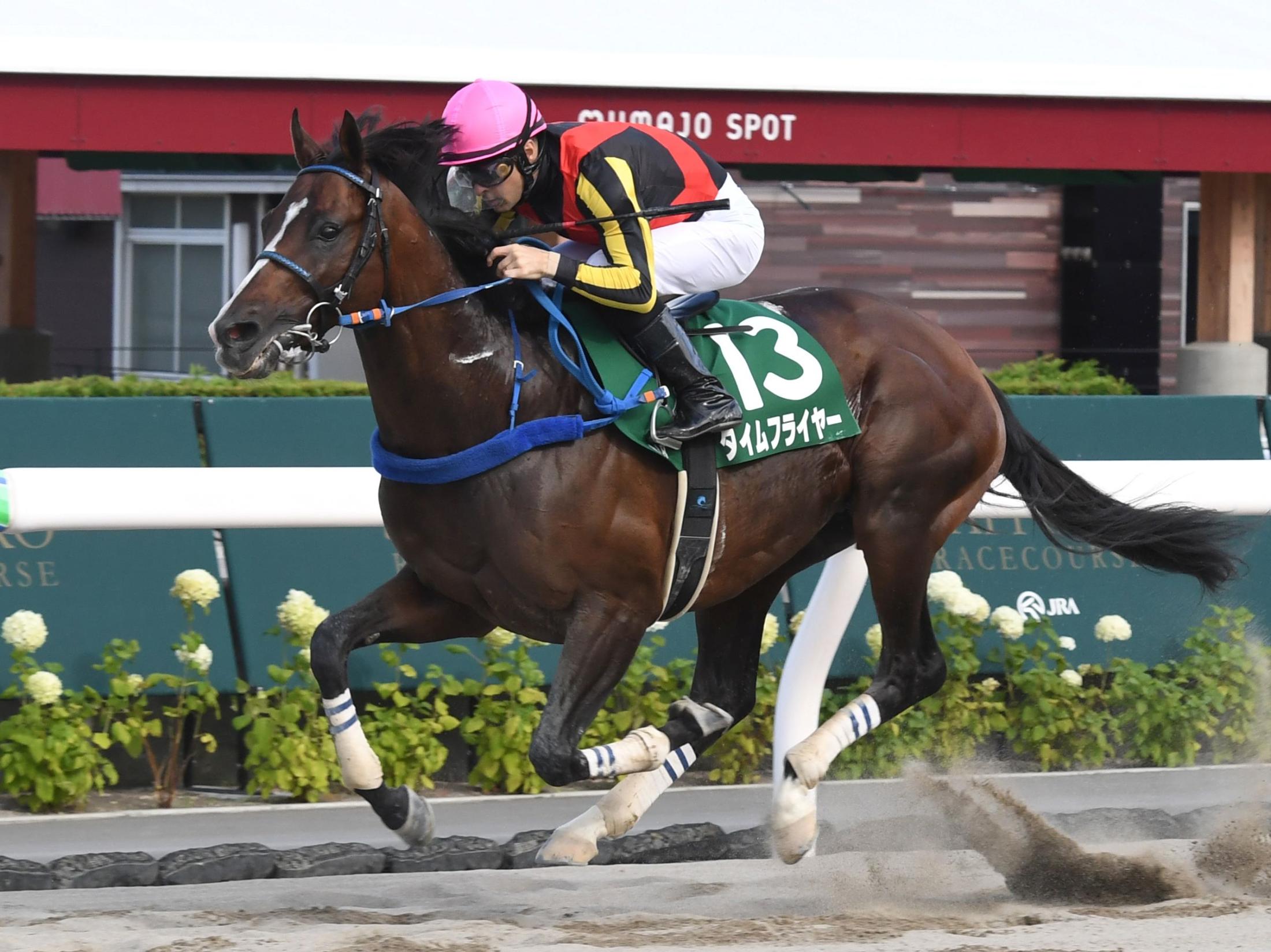 エルムＳ】１番人気タイムフライヤーがダート重賞初制覇 | 競馬 