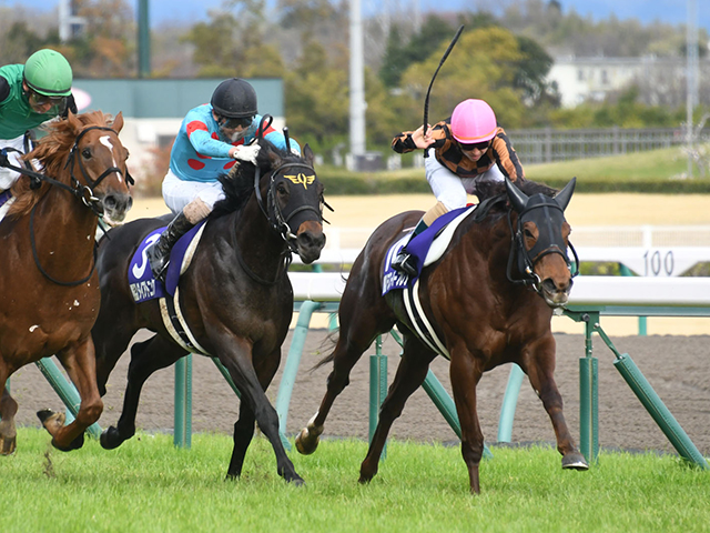 北九州記念予想】 帯封2本出現の大波乱レース！ 波乱の主役を務めるの