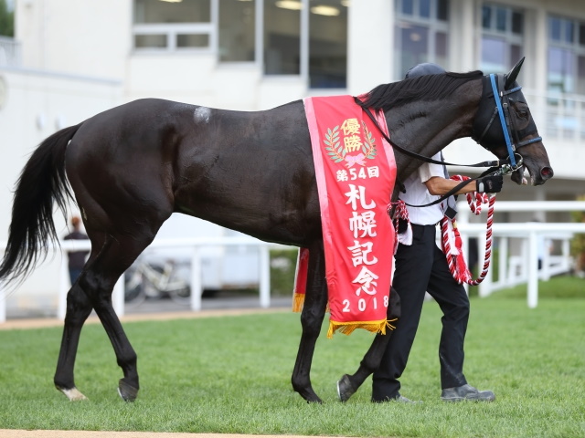 JRA】サングレーザー引退、種牡馬入りを目指す 札幌記念など重賞3勝 | 競馬ニュース - netkeiba