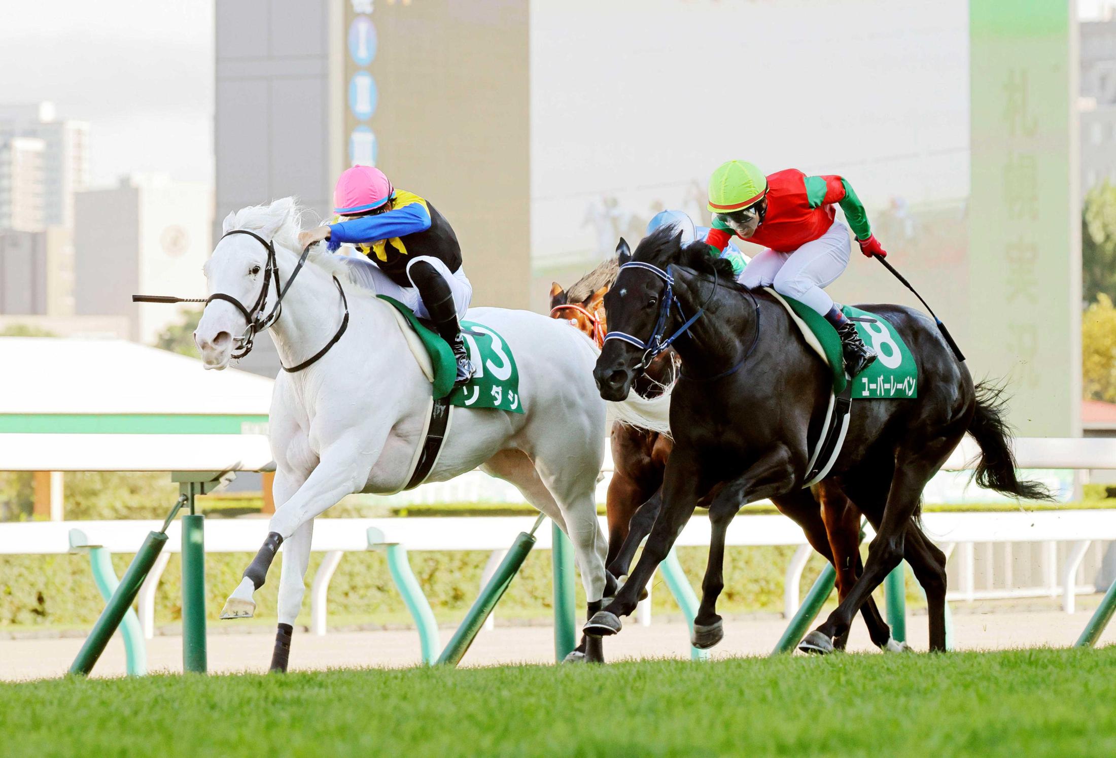 流行 ソダシ コースター 札幌競馬 | www.anc-chem.com