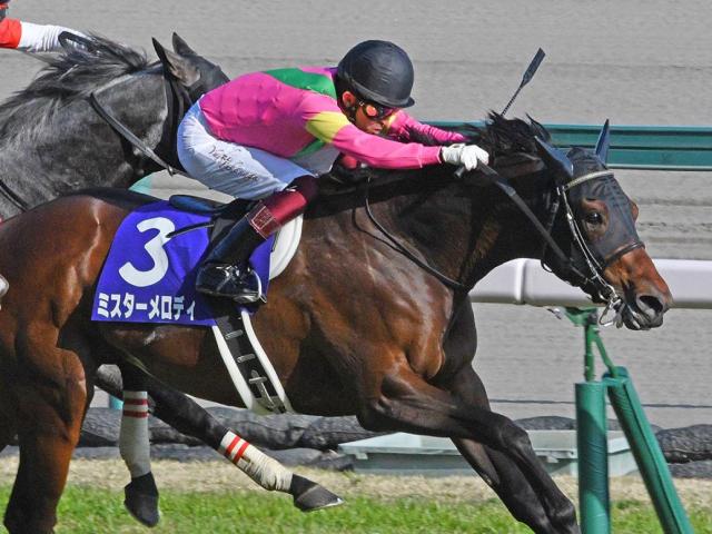 スプリンターズS】ミスターメロディGI2勝目へ気配上々/馬三郎の