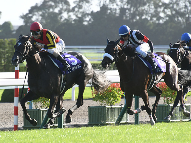 秋華賞想定】デアリングタクト無傷牝馬三冠へ、3戦3勝レイパパレらは