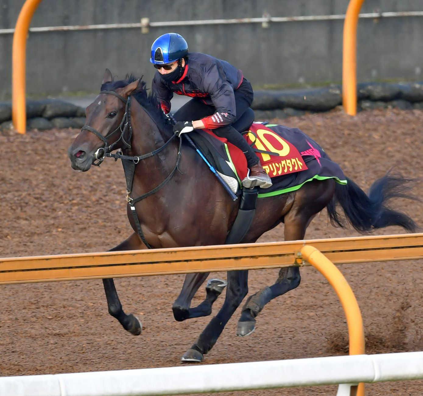 秋華賞】デアリングタクト 視界良好 杉山晴師「レースがあいても力は