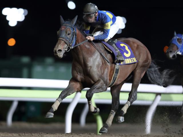 第3回地方競馬ファン投票 中間発表ではモジアナフレイバーが1位も上位