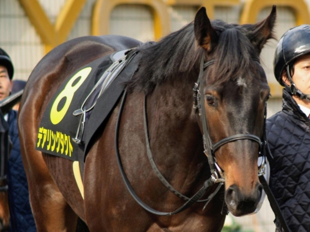 本日の注目ポイント】デアリングタクトが史上初の無敗牝馬三冠に挑む | 競馬ニュース - netkeiba