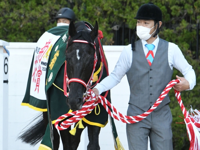 まねき馬 レインボーカード コントレイル 菊花賞 三冠達成 競馬カード