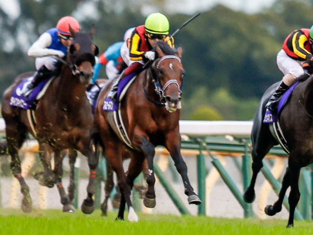 次走】フィエールマン、有馬記念へ 秋の天皇賞ではアーモンドアイの2着