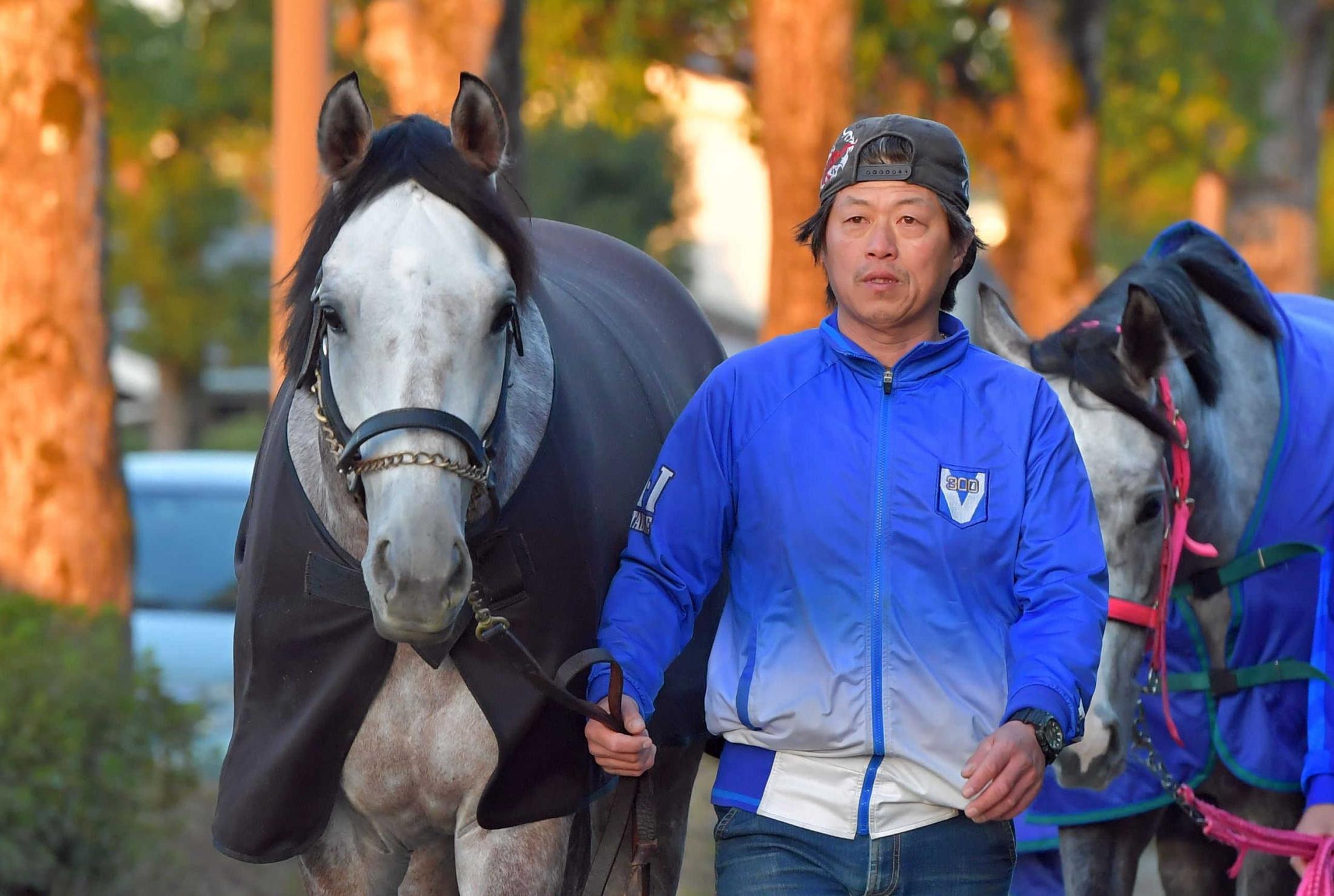 メイショウテンゲンで土屋助手 担当馬２週連続Ｖへ | 競馬ニュース