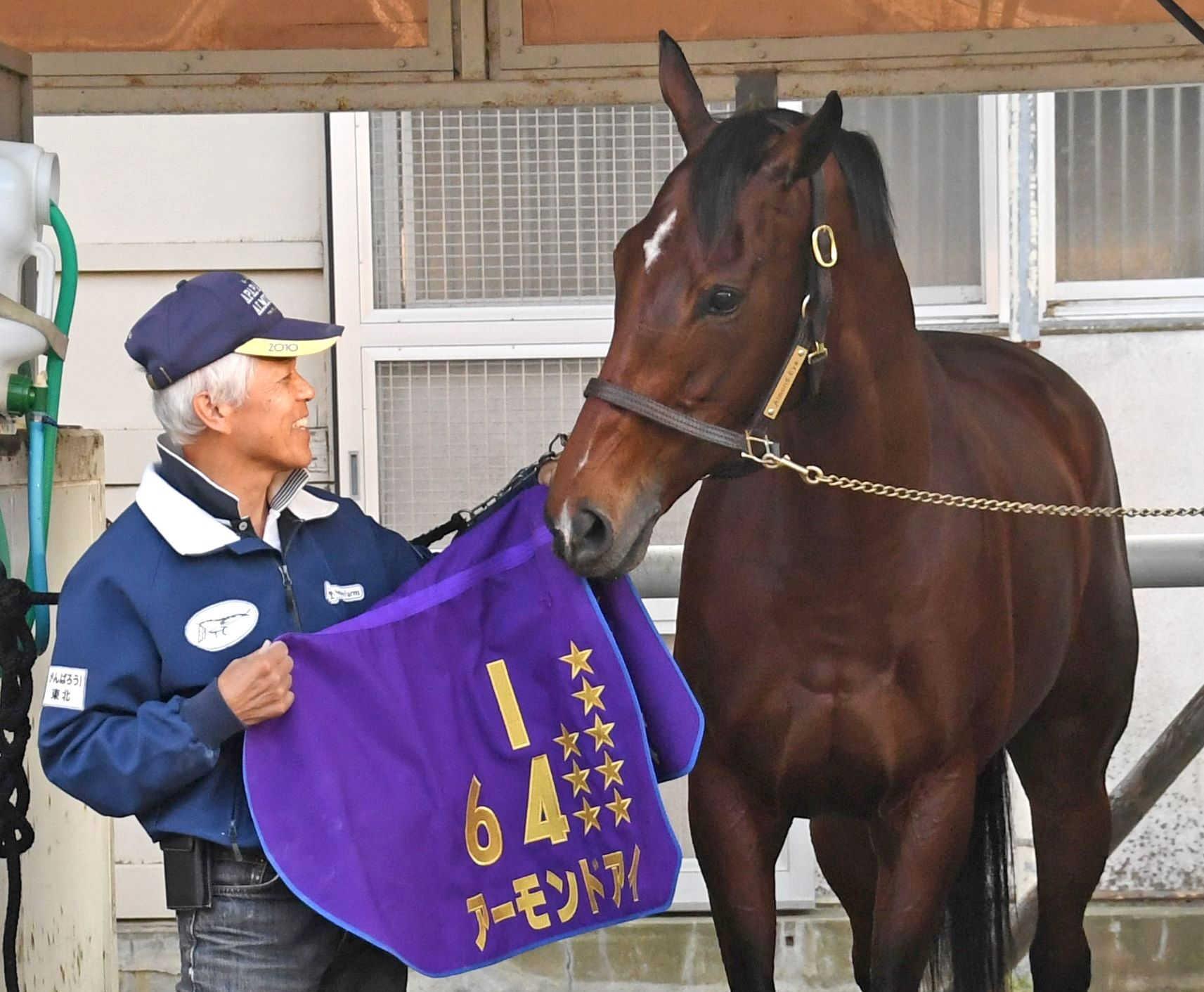 ジャパンＣ】アーモンドアイ堂々帰厩 ２０日に１週前追い切りへ | 競馬