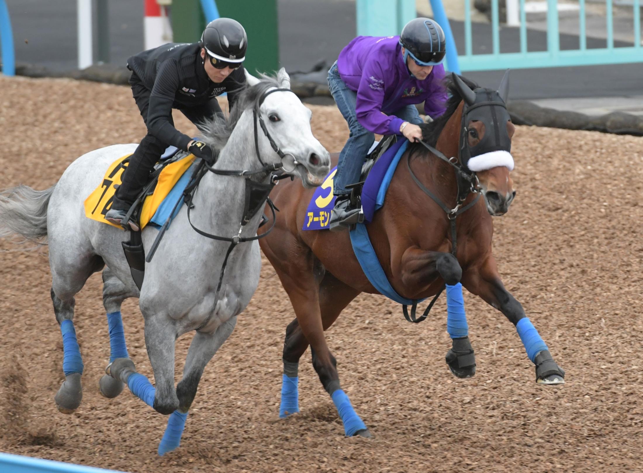 ジャパンＣ】アーモンドアイが１週前追い切り 帰厩後の初時計 | 競馬