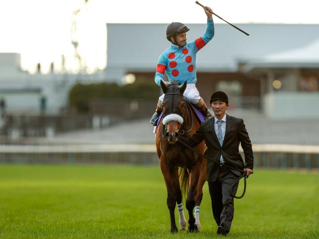 勝負の分かれ目 ジャパンC】ルメール騎手の好騎乗でアーモンドアイが有終の美 | 競馬ニュース - netkeiba