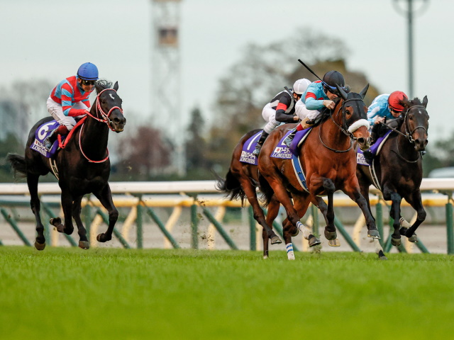 有馬記念ファン投票】第2回中間発表の1位は引き続きコントレイル 