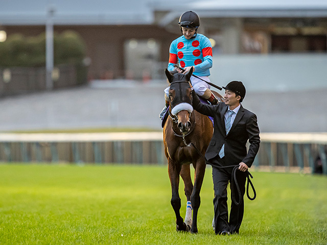 JRA】アーモンドアイ引退式を中山競馬場で開催、12月19日の最終レース終了後 | 競馬ニュース - netkeiba