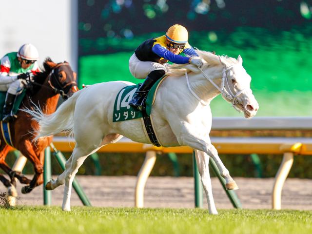 阪神JF出走馬決定順】回避がなければ抽選は5/7に 白毛馬ソダシら登録