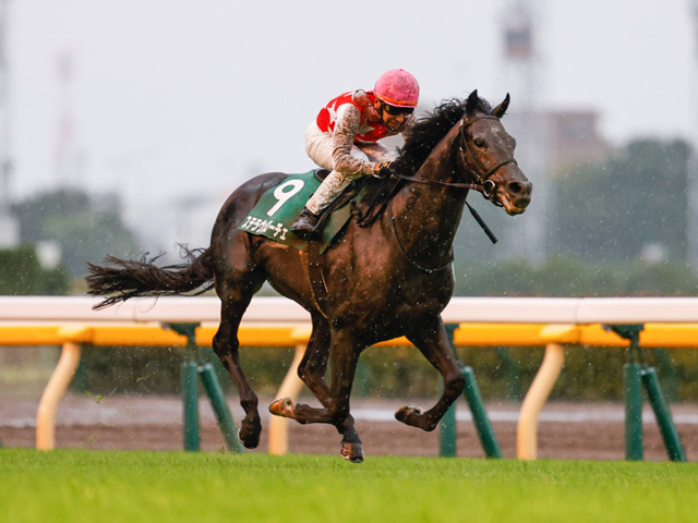 朝日杯FS】完成度高いステラヴェローチェ 横山典もさすが/馬三郎の