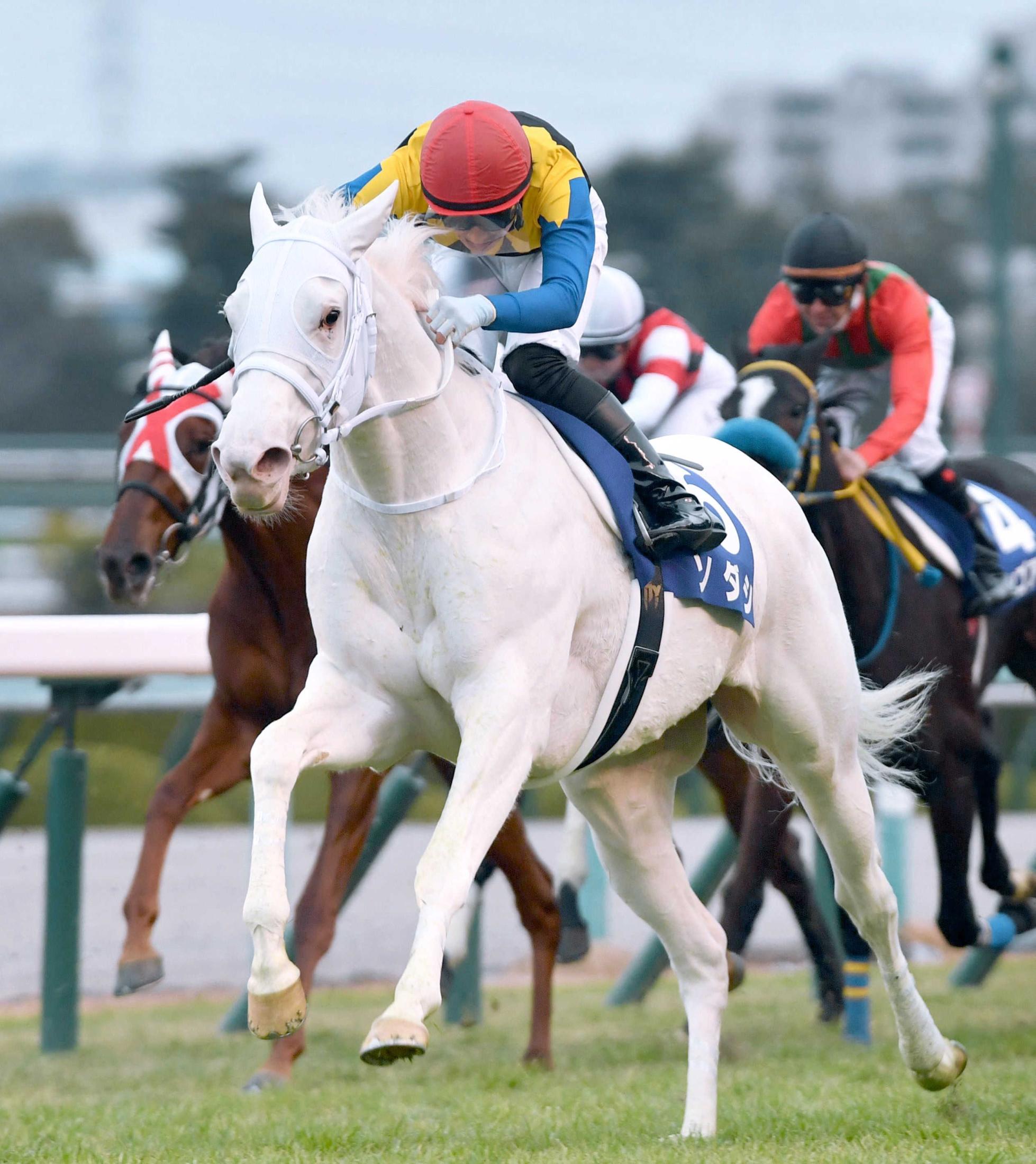 白毛の競走馬ソダシ号ストラップ<br>史上初！白毛 芝ＧＩ勝利<br>桜花 ...