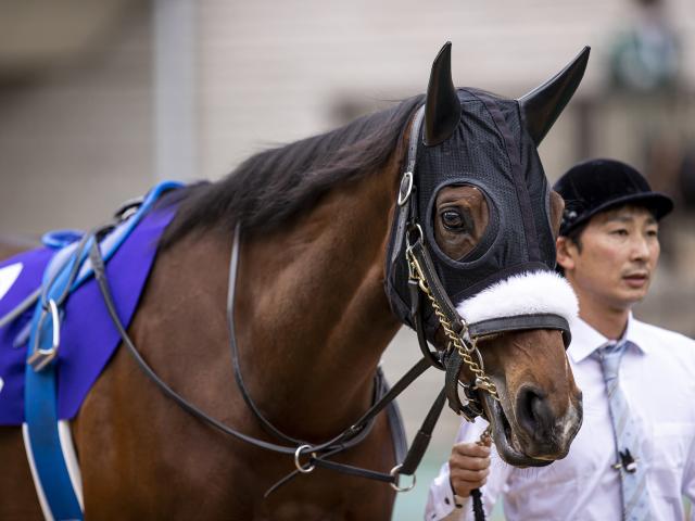 アーモンドアイが競走馬登録を抹消 | 競馬ニュース - netkeiba.com