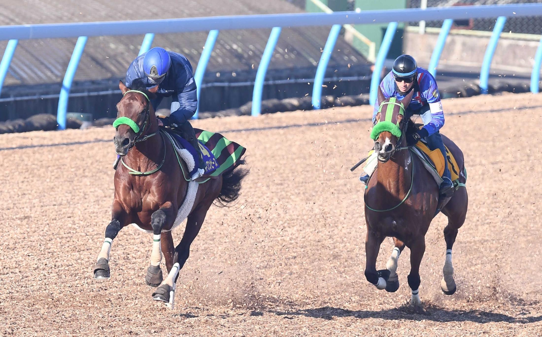 有馬記念】ブラストワンピース復調うかがえる伸び 助手「冬の中山は