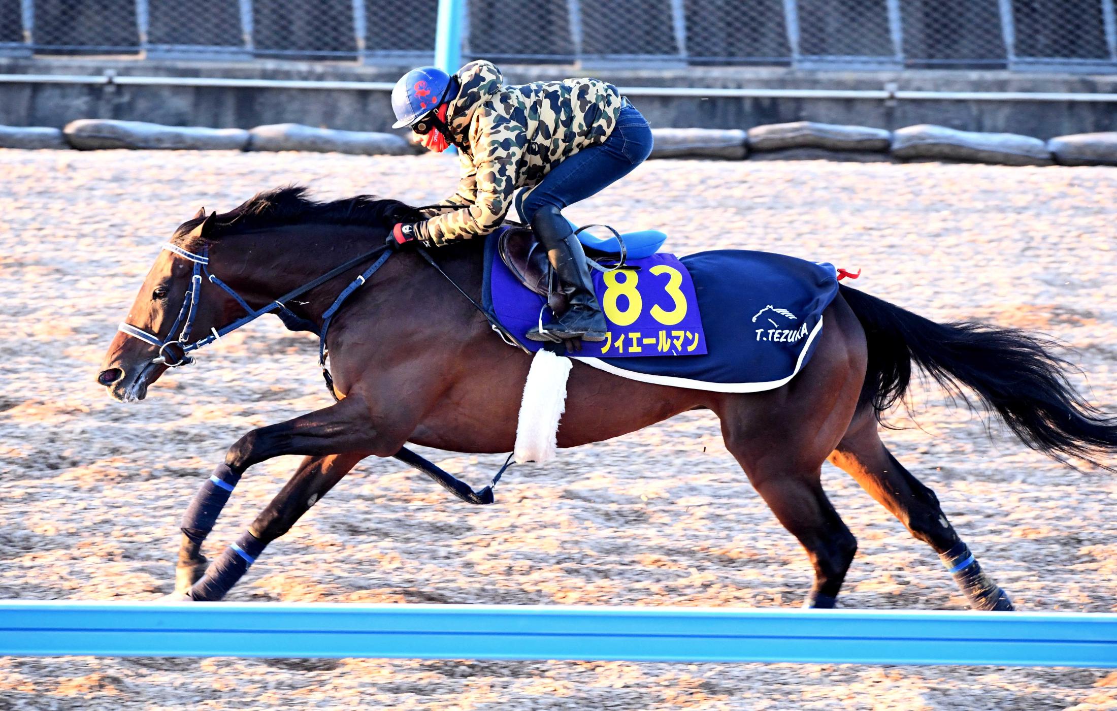 競馬 天皇賞記念キャップ フィエールマン - キャップ