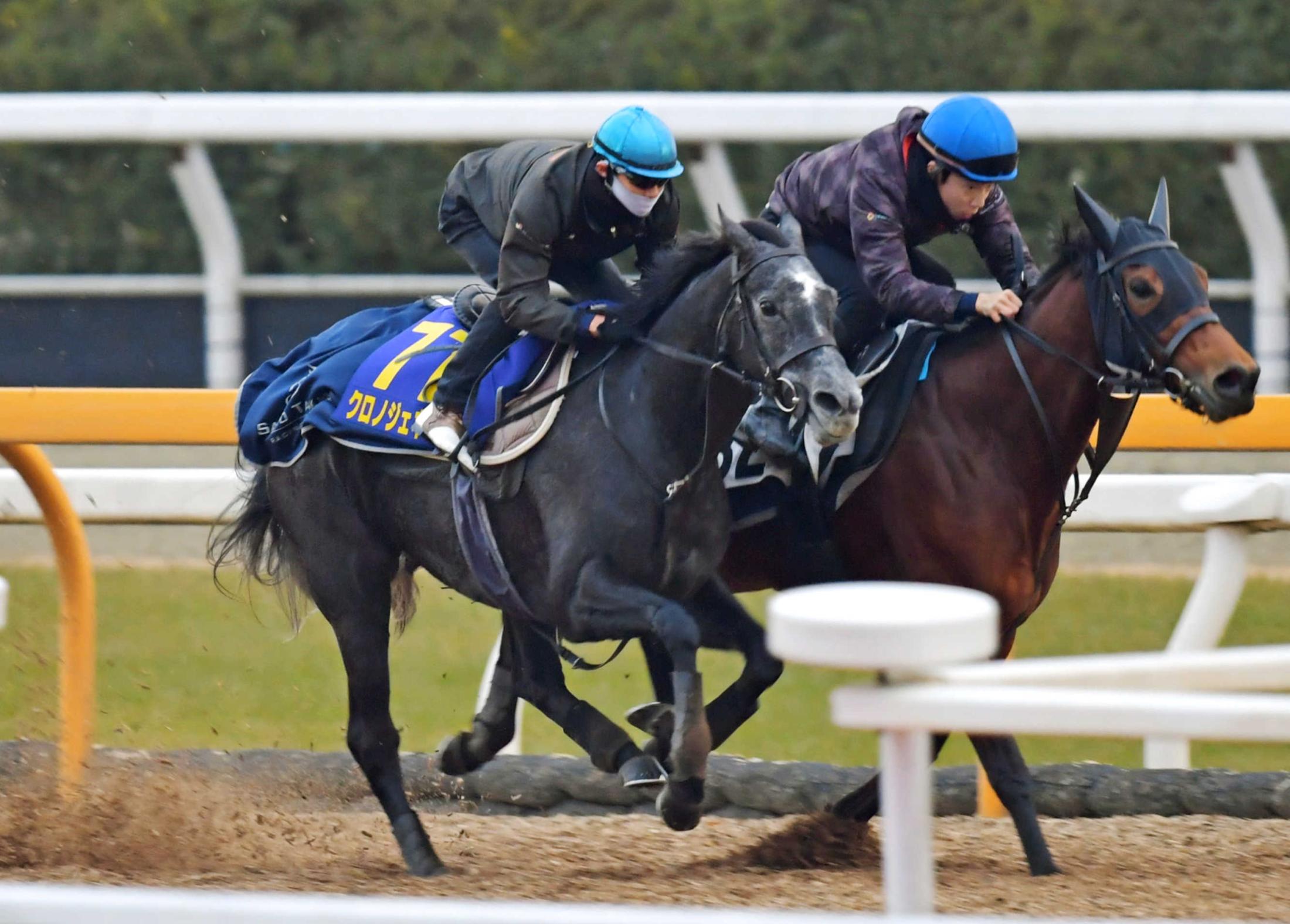 有馬記念】クロノジェネシス余力十分！文句なし 北村友「いい状態