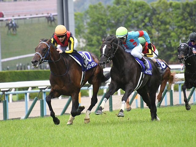 有馬記念予想】 グランプリ制覇に大切なのは“マイル適性”!? マイルの勝ち鞍の有無で、今年の勝ち馬が見えてくる!?/JRAレース展望 | 競馬ニュース  - netkeiba