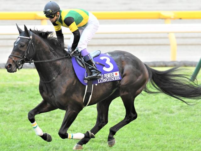 有馬5着のワールドプレミアは天皇賞・春を目標に | 競馬ニュース