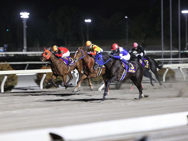 高知 競馬 売上 レコード