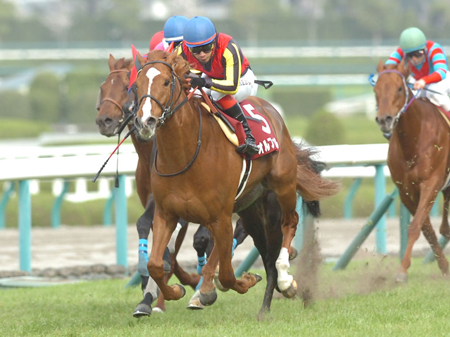 オルフェーヴルの凱旋門賞参戦が正式決定！帰国後は有馬記念出走に含み | 競馬ニュース - netkeiba