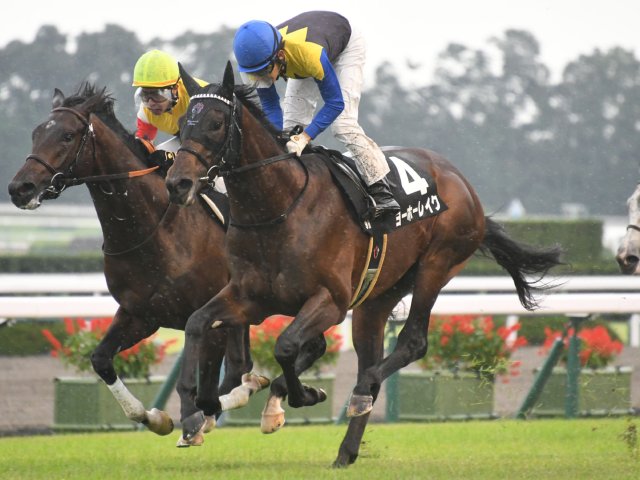 2/7の注目厩舎・友道康夫厩舎】春へつなげるヨーホーレイク/馬三郎 | 競馬ニュース - netkeiba