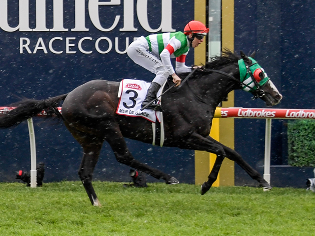 JRA】豪G1馬メールドグラースが競走馬登録を抹消 ノーザンホースパーク