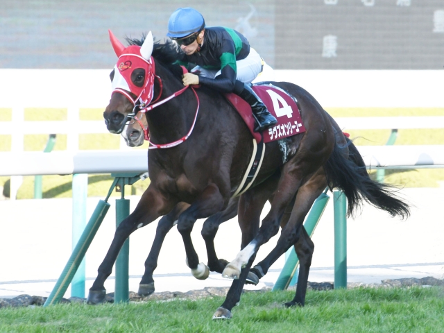 京都記念結果】オークス馬ラヴズオンリーユーが快勝！ 1年9か月ぶりのV