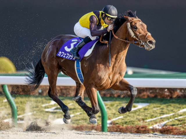 本物の 競馬 G1ポスター 2022年フェブラリーステークス カフェファラオ 