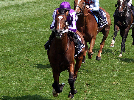 骨折したセントニコラスアビー手術終了、経過観察中 | 競馬ニュース - netkeiba