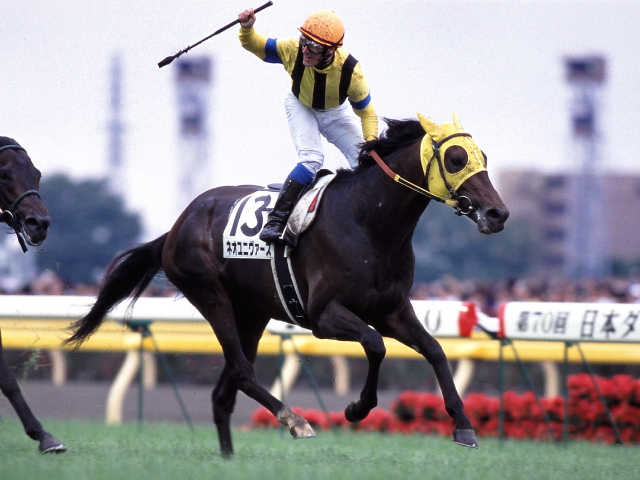 2003年の二冠馬ネオユニヴァースが死亡 産駒にはヴィクトワールピサ
