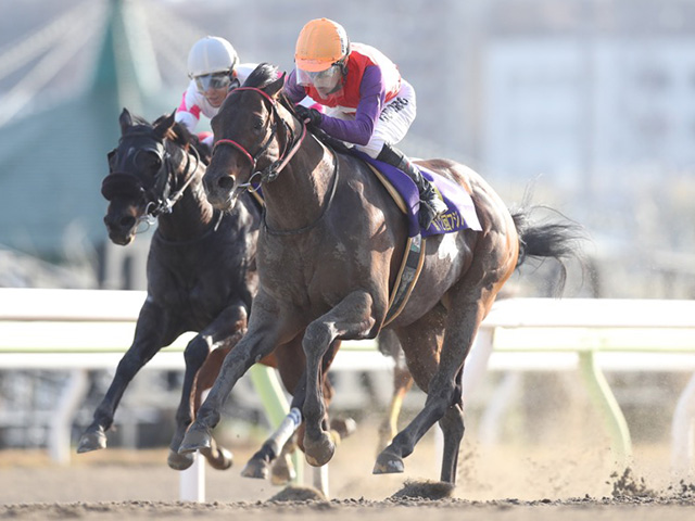 地方競馬(大井)３月→６月 競馬予想 トリプル馬単 - 趣味、スポーツ、実用